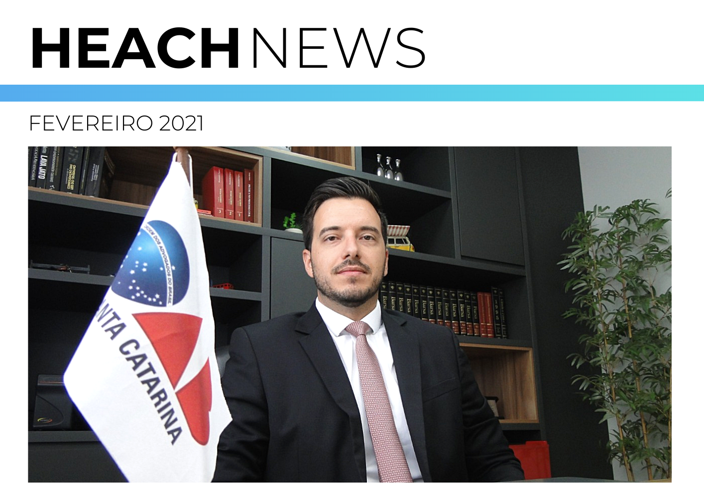 Newsletter de Fevereiro